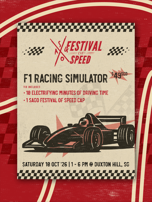 F1 RACING SIMULATOR